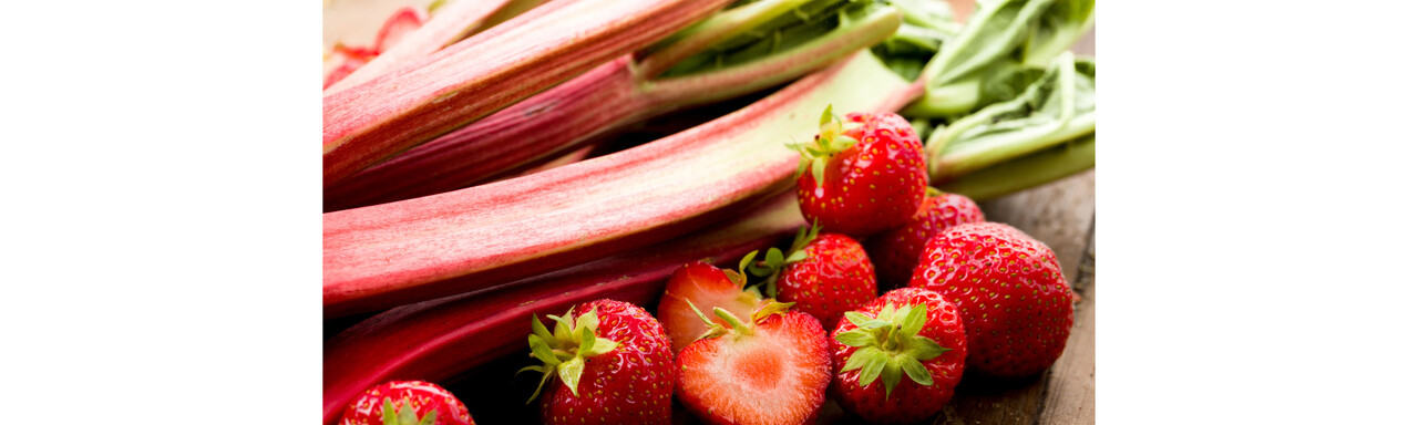 Rhabarber und Erdbeeren | © Adobe Stock 66682019 Rhabarber und Erdbeeren | © Adobe Stock 66682019