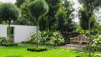 Wunderschöner Garten mit grünem Rasen, Bäume und einer Gartenbank. | © Adobe Stock 284379076