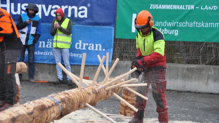 Die Sieger des Landesforstwettbewerb 2019 Impression #2