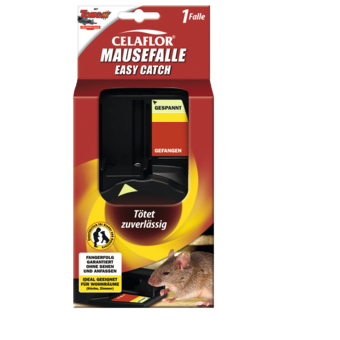Mausefalle Easy Catch