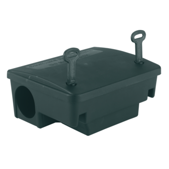 Köderbox Ratte