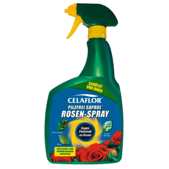 Celaflor Pilzfrei Saprol Rosen Spray 800 ml