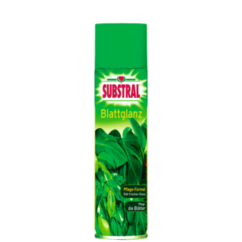Substral Blattglanz 600 ml