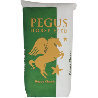 Pegus Classic Müsli 20 kg