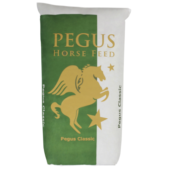 Pegus Classic Pellet 30 kg