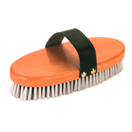 Pferdekardätsche Brush & Co