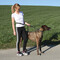 Jogging-Hundeleine mit Hüftgurt Impression #1