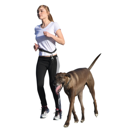 Jogging-Hundeleine mit Hüftgurt