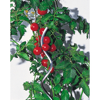 Tomaten-Pflanzstab Spirale 1,5 m