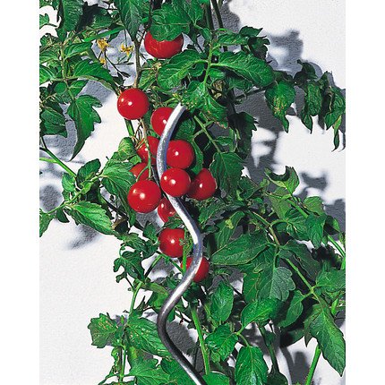 TomatenPflanzstab Spirale 1,8 m Lagerhaus Salzburg