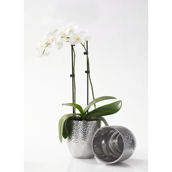 Übertopf Boston Orchidee Ø 14 x H  cm