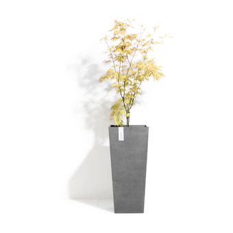 Topf Rotterdam High Grau L 32,5 x B 32 x H 70,5 cm