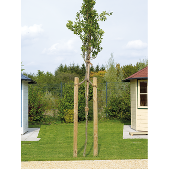 Baumpfahl L 150 x S 4-5 cm