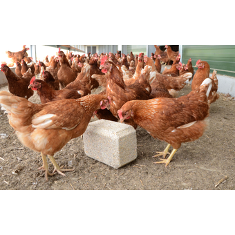 Pickblock Natural 4 x 5 kg