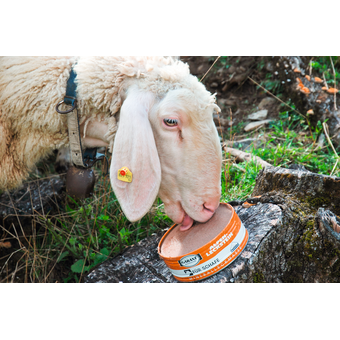 Leckmasse Alpen Schaf 2 kg