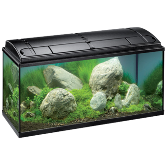 Aquarienset Aquastar 180 l 100x40