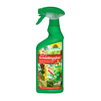 Neudorff Spruzit AF Schädlingsfrei Zierpflanzen 500 ml