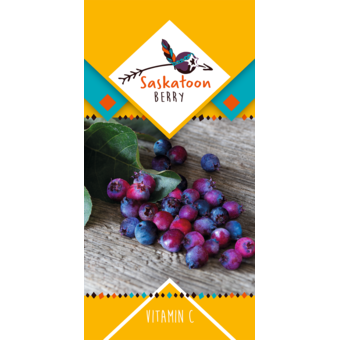 Amelanchier-Frucht-Felsenbirne »Saskatoon Berry®«