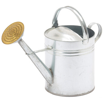 Giesskanne Metall 8,5 l verzinkt