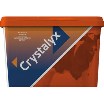 Leckmasse Crystalyx Mentholyx 5 kg