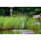 Pumpe Aquarius Fountain Set 2000 ECO Impression #1