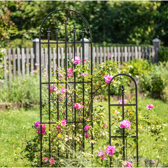 Zierspalier Arch H 152 x B 26 cm