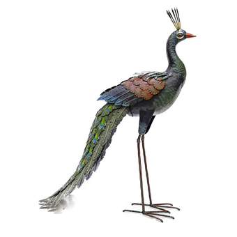 Pfau Amalia