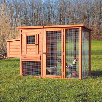 Hühnerstall mit Freilauf Natura
