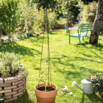 Rankturm Pyramide faltbar H. 150cm