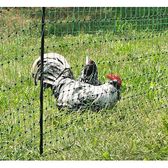 Geflügelnetz 106 cm / 25 lfm nicht leitend