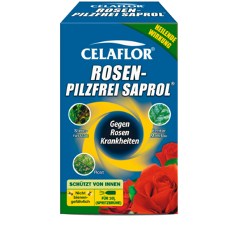 Celaflor Rosen-Pilzfrei Saprol
