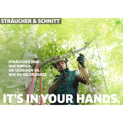 Handschuh Lonicera Gr. 7 Impression #2