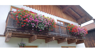Habe 3 Balkone ,bin mit meinen Blumen vom Lagerhaus sehr zufrieden 