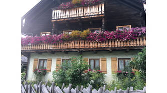Unterwimmhof wagrain 