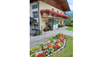 Omas schönste Blumen!