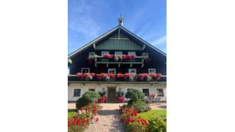 Surfinien und hänge Pelargonien