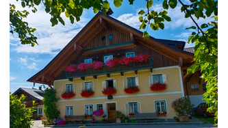 Die wunderschönen Balkonblumen, die durch den grünen Daumen meiner Schwiegermutter so schön gedeihen, freuen jedes Jahr die ganze Familie.