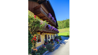 Balkonblumenwettbewerb 2023 - Salzburger Lagerhaus 