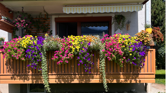 Augenweide Blumen in der City