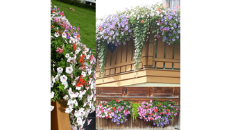 Blumenparadies in Schwaighof