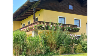 Meine schönen Balkonblumen vom Lagerhaus gekauft. 