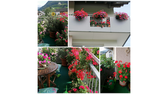 Meine kleine Balkon-/blumenoase ist Balsam für meine Seele. 