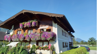  Farbenprächtige Balkonblumen. 