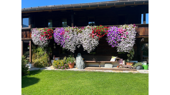Balkonblumen beim Schneiderhäusl