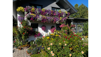 Unser Garten - unsere Leidenschaft. 
Unser Balkon - nur für die Blumen da 🌸🌼
