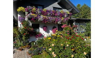 Unser Garten - unsere Leidenschaft. 
Unser Balkon - nur für die Blumen da 🌸🌼

