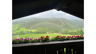 Blumen a la „Over the Rainbow“