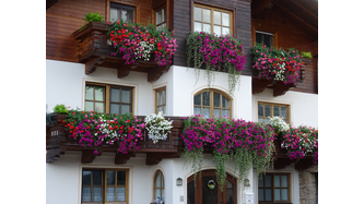 Diese schöne Blumen schmücken das Haus in Mitterweiding, St. Veit Schattenseite.