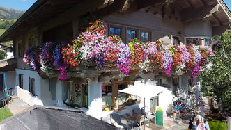 Bunte Blumenpracht