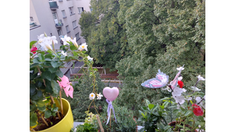 Mein kleines Fenserbretterl in voller Blüte